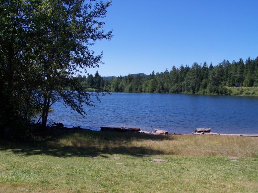 Like an ink spot on an artist's canvas, the lake sat peacefully under the summer sky . . . simile