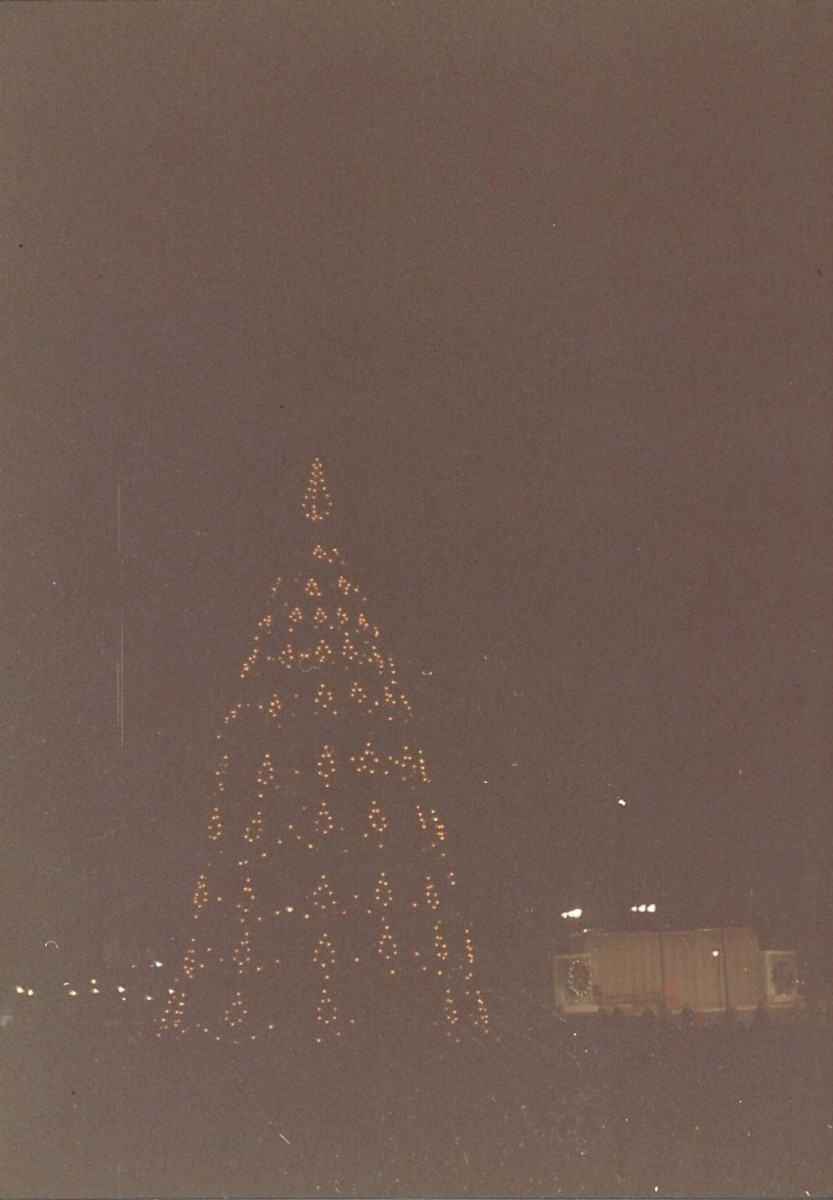 The White House Christmas Tree, December 1988.
