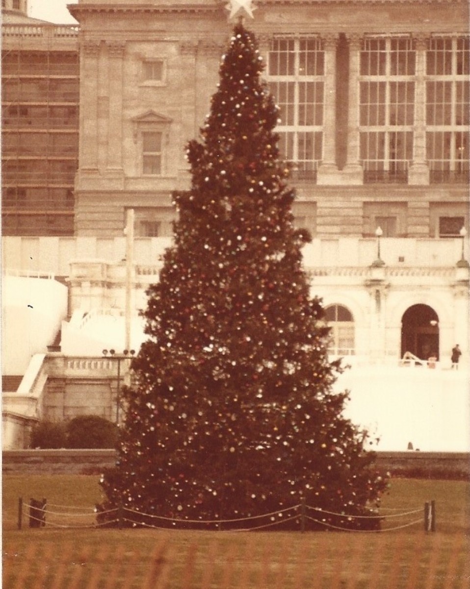 The U.S. Capital's Christmas Tree.