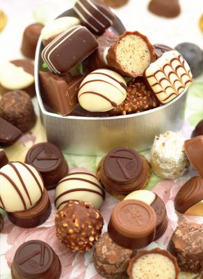 Chocolate is BAD for dogs and cats!