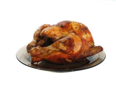 NO turkey or chicken bones for your pet! 