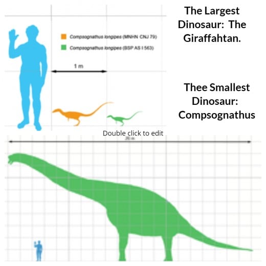 smallest to biggest dinosaurs