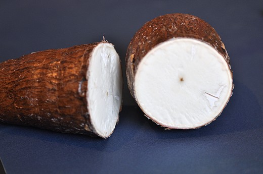 Detail of cassava root.