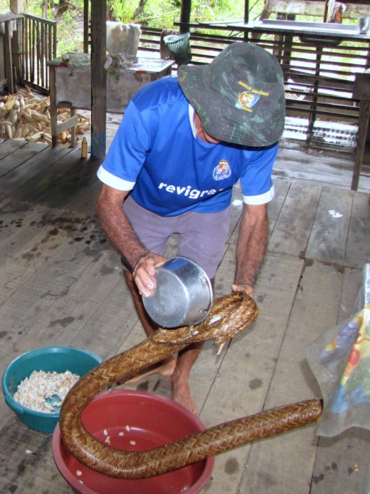 Man processing cassava using a tipiti.