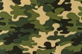 Camouflage as a Social Statement, or Camo up Bro! A Satirical Tale About Clothing Styles
