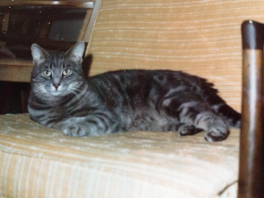 Silver Sprite, in that same chair.