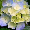 Ruhi Wadkar profile image Ruhi Wadkar profile image