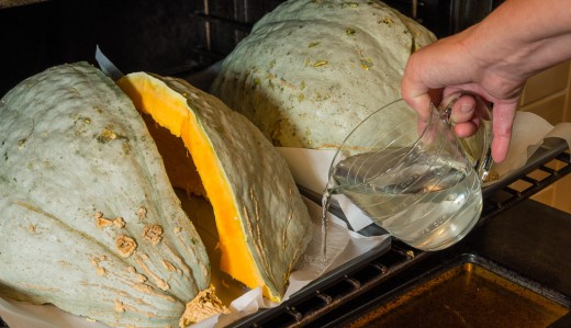 Hubbard squash