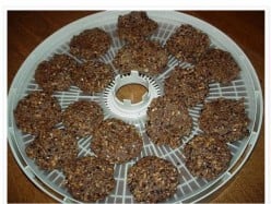 How to Dry Food & Dehydrator Recipes