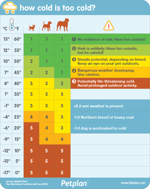  Petplan's Temperature Chart