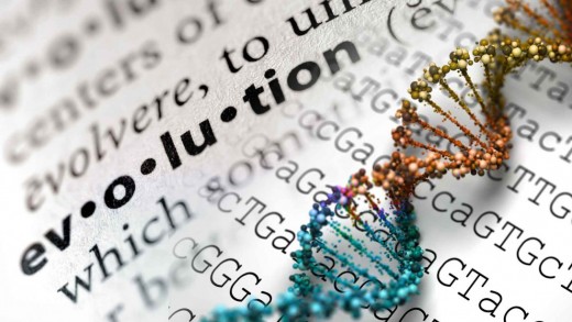 Evolution: the true source of morality?
