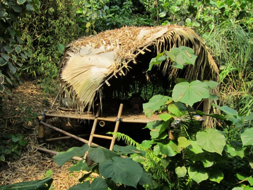shelter