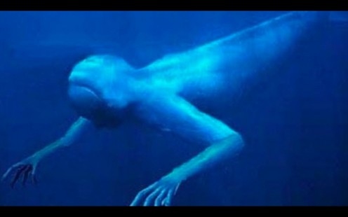 Ningen Creature -  supposedly been seen in the Pacific, Antarctic and Atlantic Oceans