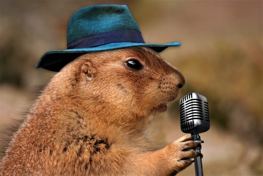 On Groundhog Day the groundhog delivers a message to the human population