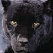 alpol7474 profile image