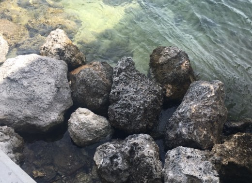 Key Largo, Florida 2016