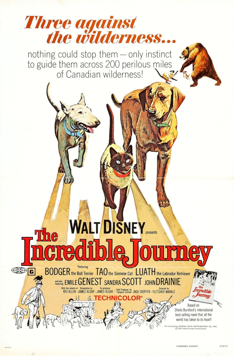 incredible journey rated