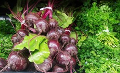 Growing Beets in the Home Garden