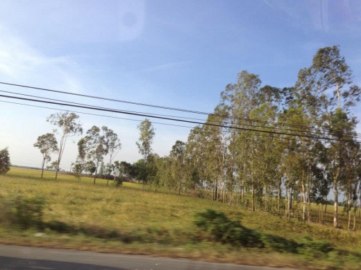 The road I went to preach in South Viet Nam
