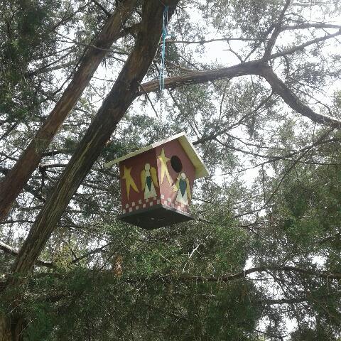 Bird House