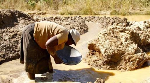 Small scale miner panning for gold
