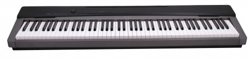 Casio Privia PX-130 Digital Piano (pic2)