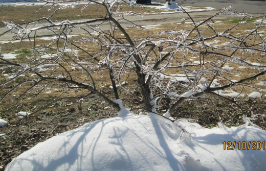 Snow melts and permeates the land