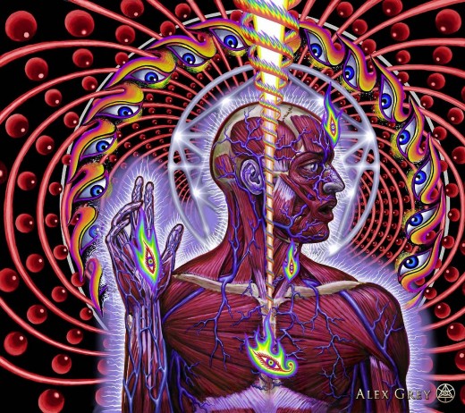 Dissectional Art - Alex Grey - 2001