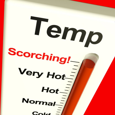 Cooking food at the correct temperature will help to avoid getting food poisoning