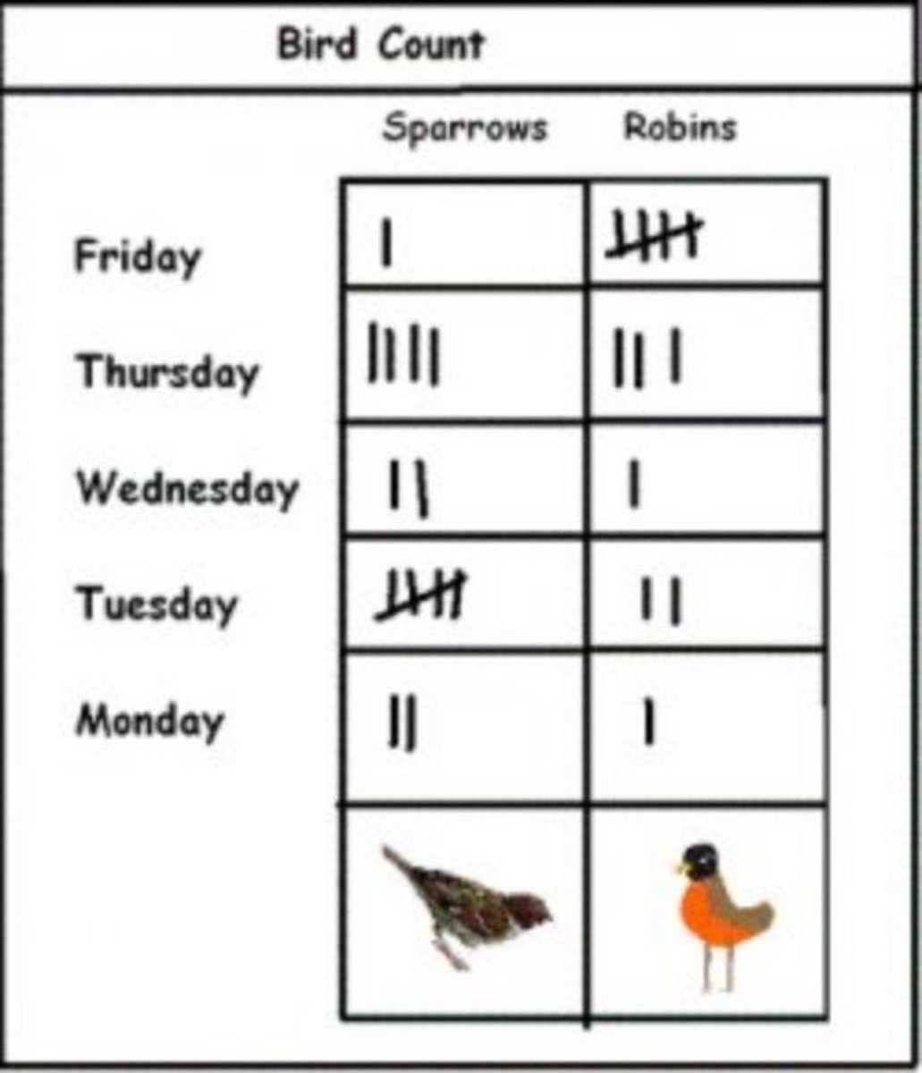 Tally Chart For Kids
