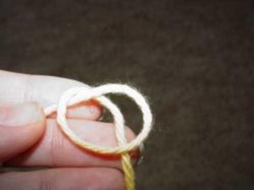 Form a loop with the yarn and let the working yarn cross behind the loop. Pull the working yarn up through the loop.