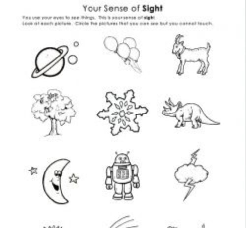 Teaching Kids Sense of Sight - The Five Senses | HubPages