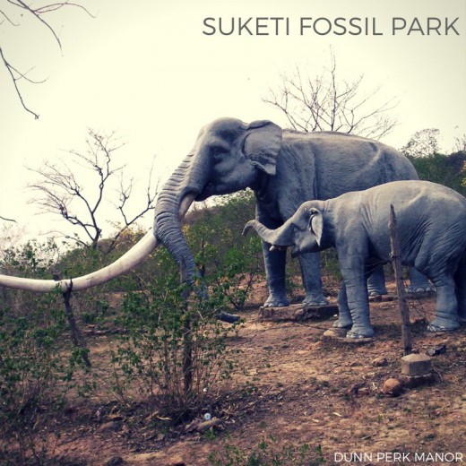 Suketi Fossil Park