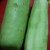 Upo or Bottle Gourd