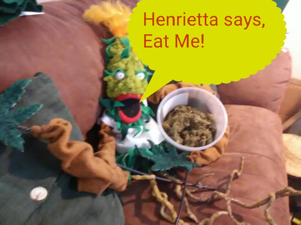 Henrietta's favorite snack is hemp seed cookies
