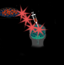 Simulation of a neuron transplant from in vitro grown cells. 