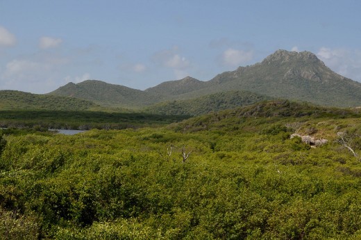 Mount Christophel, is great for hiking.