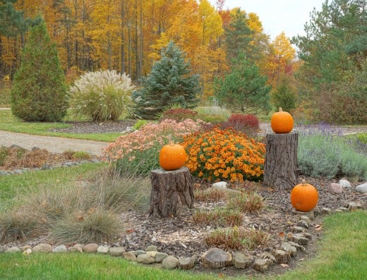 Fall Garden Landscape