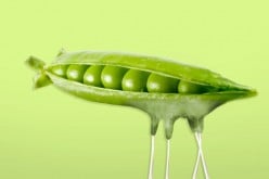 The Truth about Pea Milk