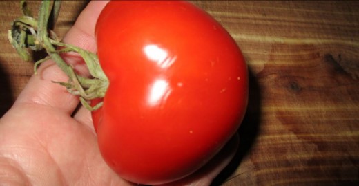 The ultimate test of a sharp knife. If it can thinly cut a ripe tomato, it's sharp! - Sorry, I forgot to take pictures last night when I cut a tomato for tacos,but I did not thinly slice then, either.