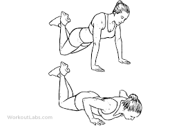 Modified Push ups for Woman or Man- Chest, Shoulder,Abdominals, Triceps, 