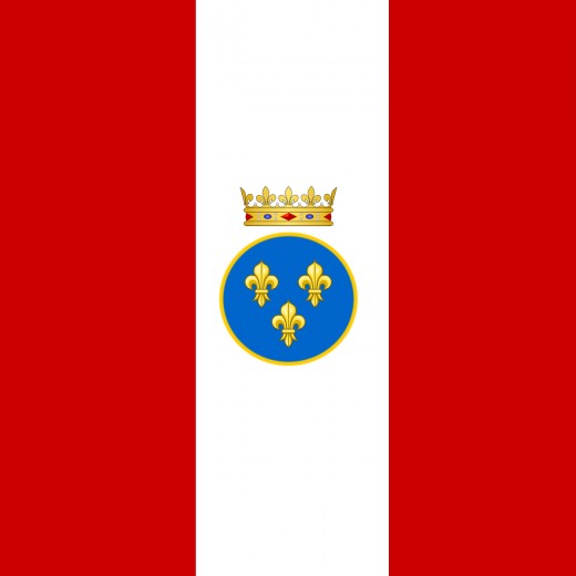 A flag used by French East India Company troops.