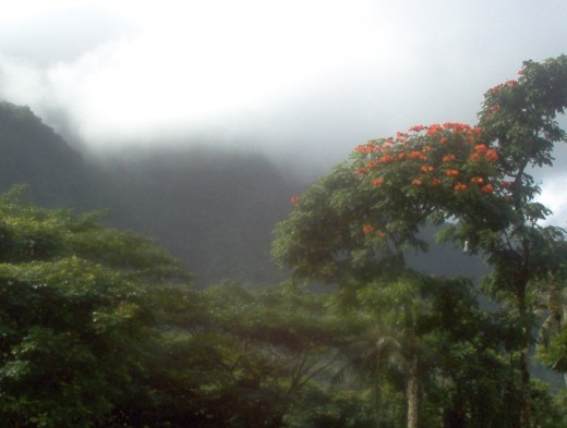 The floral trees are lovely.