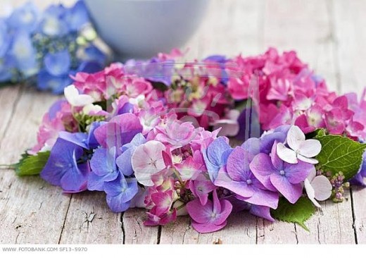 Fresh flowers