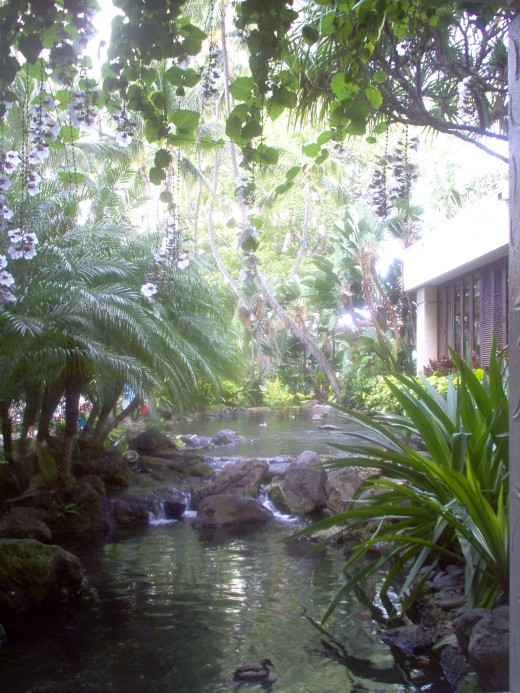 Lovely gardens