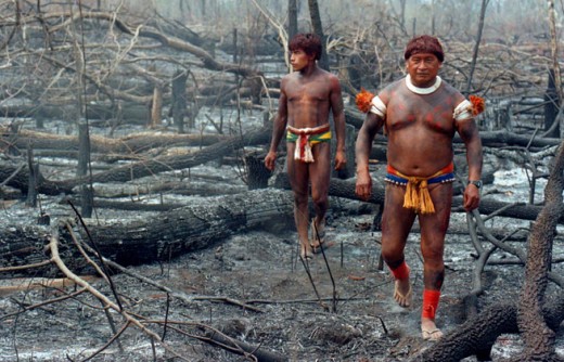 Image Courtesy http://knowledge.allianz.com/en/media/galleries/deforestation_causes.html