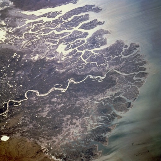 The Indus River Delta, as seen from space.