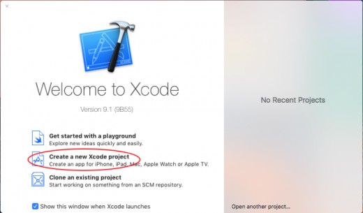 Xcode Prompt