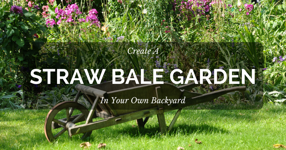 How To Create A Straw Bale Garden In Your Backyard Dengarden