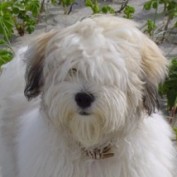 ablonde09 profile image